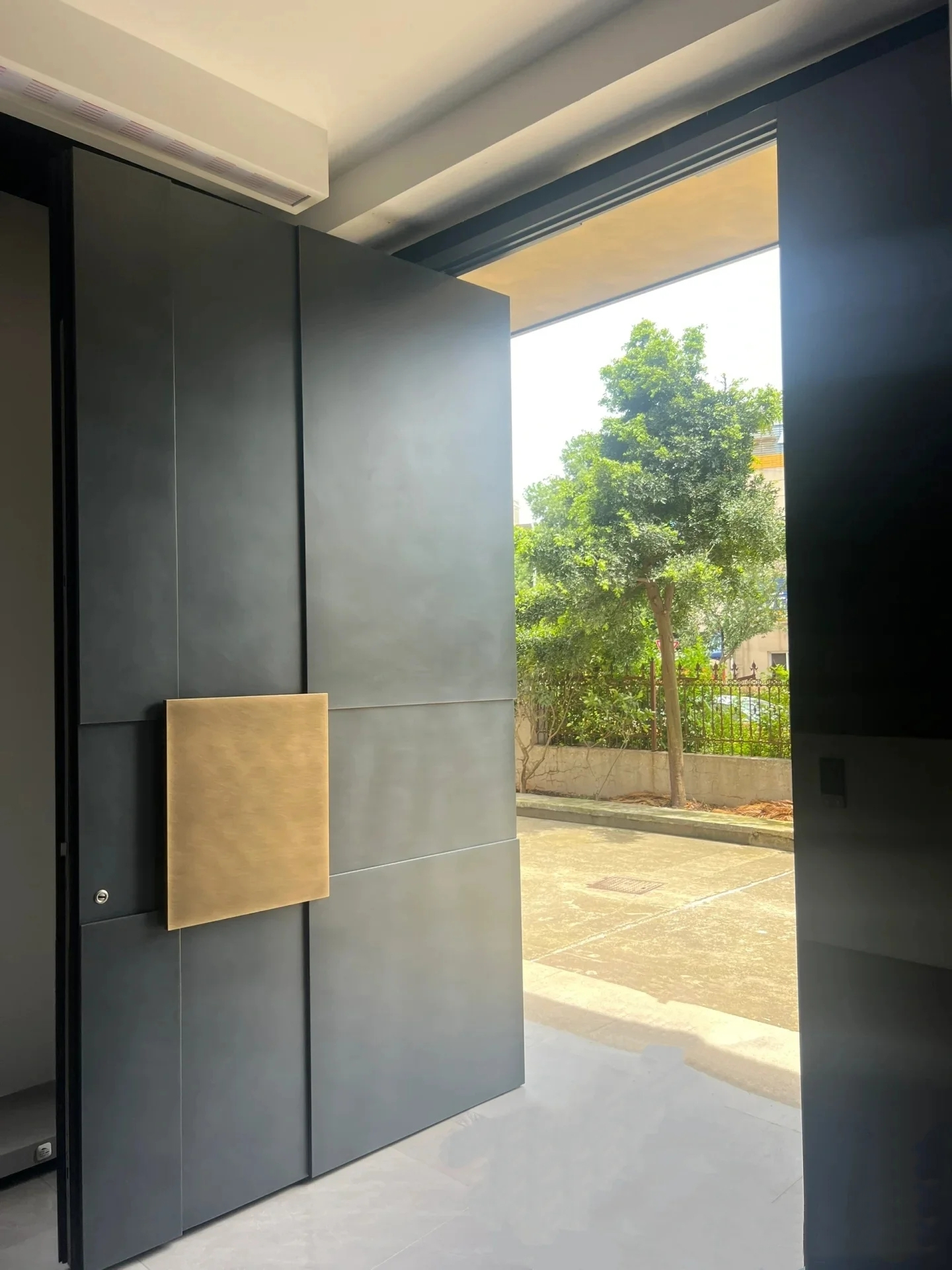 Black Modern Steel Pivot Entry Door Manufacturer China